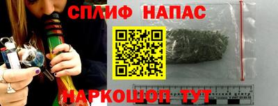 гашик Ливны