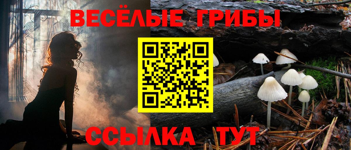 Шелехов  Галлюциногенные грибы Magic Shrooms  Вход с VPN 
